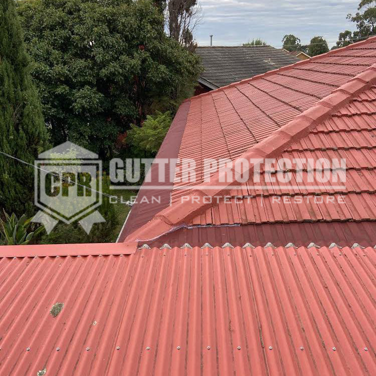 Bird Proofing Your Roof