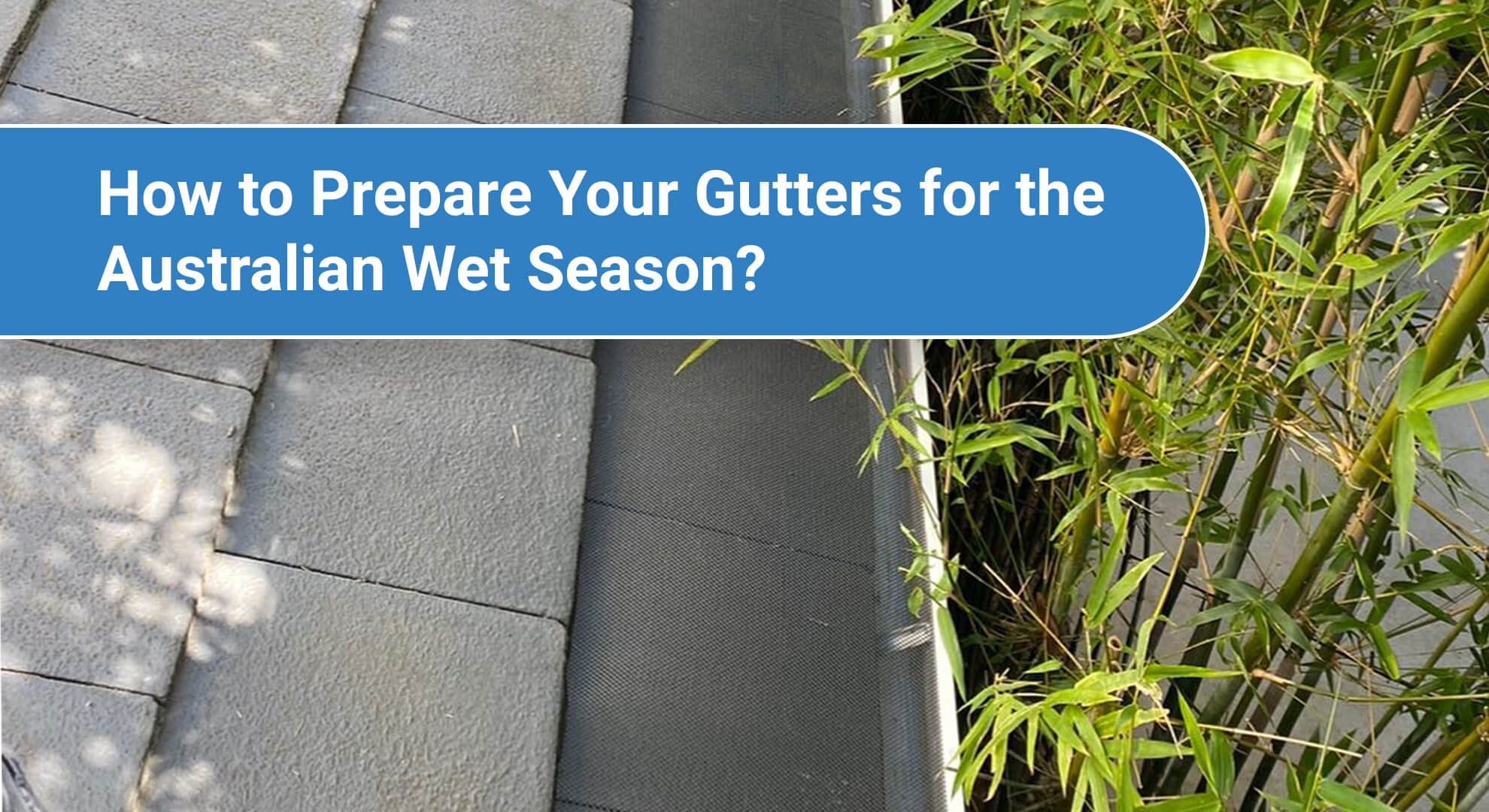 Gutter Guard Protection