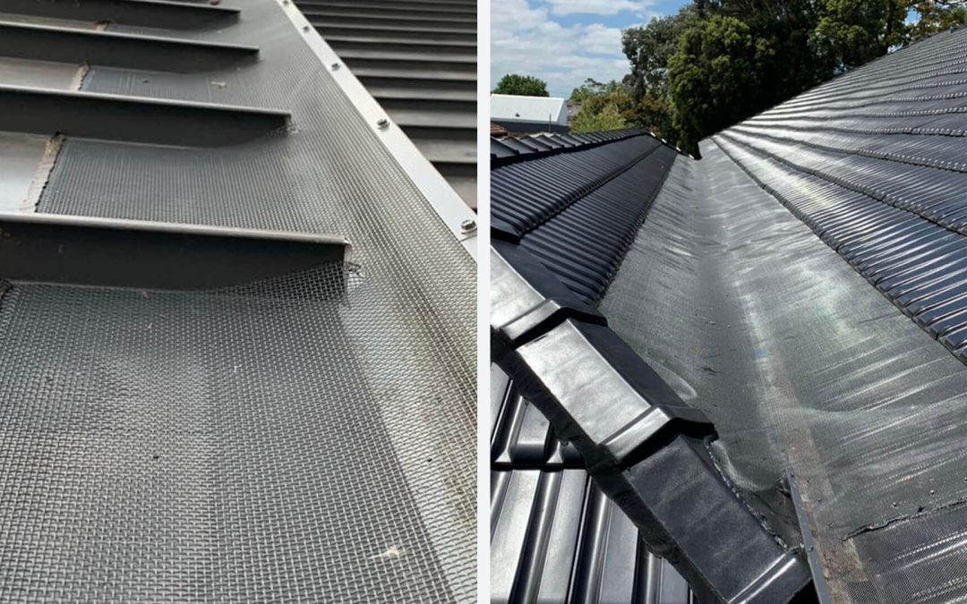 Best Gutter Protection in Australia