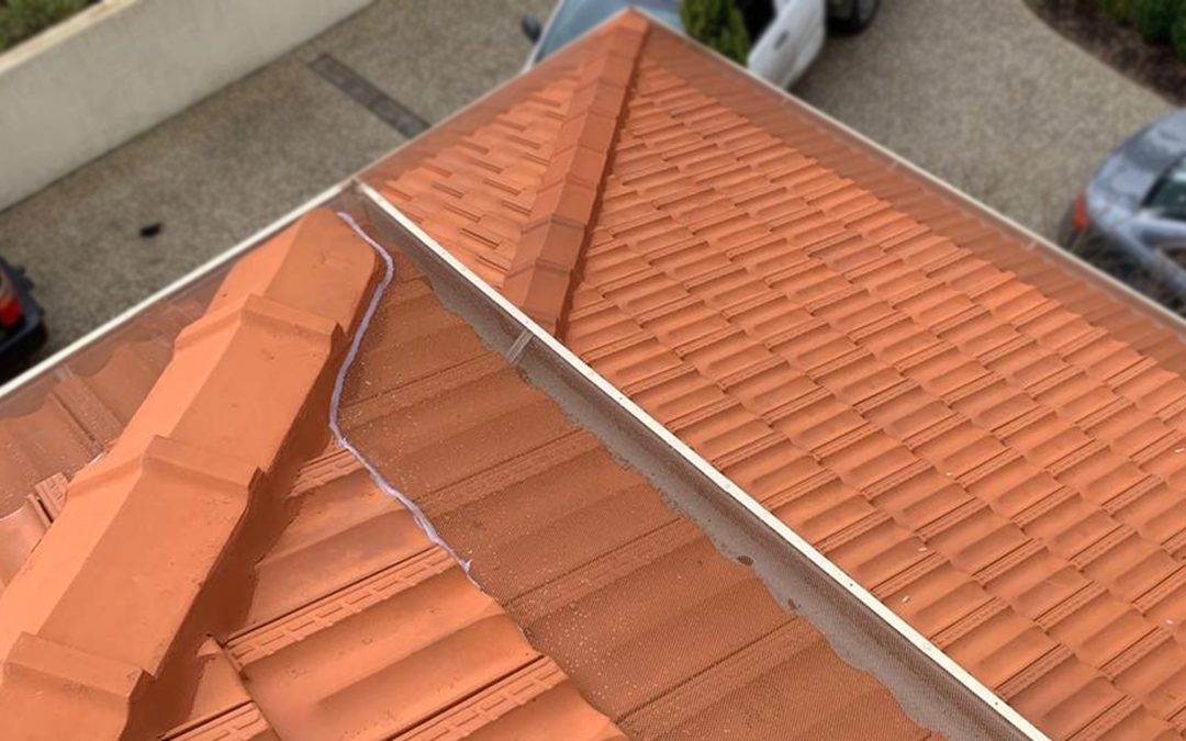 Best Gutter Protection in Australia