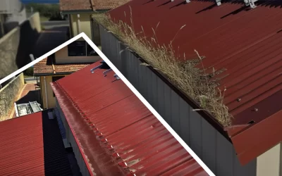 What You Need to Know Before Installing Metal Gutter Guards